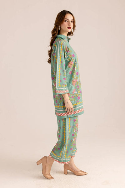 Silk Plazo 2pc